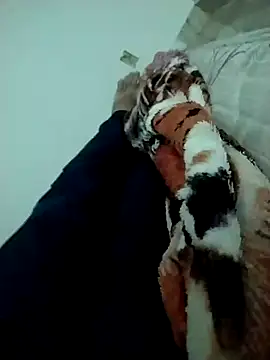 lm279 online show from February 14, 2025, 3:47 pm