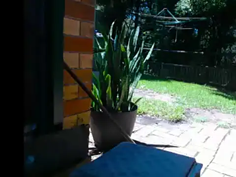 Snapshot of InfamousBabyy_ chatting on December 12, 2024, 12:27 am InfamousBabyy online show from December 12, 2024, 12:27 am