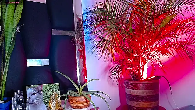 Snapshot of RyanRizzo chatting on January 22, 2025, 7:24 pm RyanRizzo online show from January 22, 2025, 7:24 pm