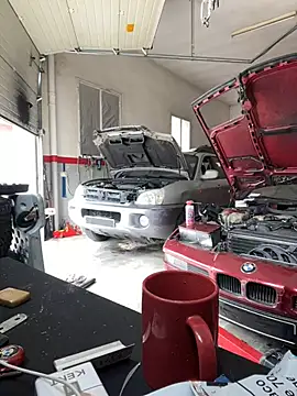 Snapshot of donnuozfutura chatting on February 12, 2025, 12:44 pm donnuozfutura online show from February 12, 2025, 12:44 pm