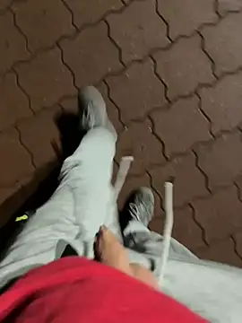 Snapshot of rundum40 chatting on January 24, 2025, 7:49 pm rundum40 online show from January 24, 2025, 7:49 pm