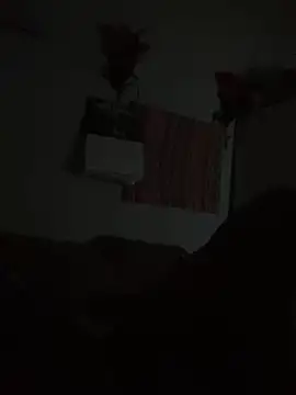 Snapshot of Johnras121 chatting on September 23, 2025, 3:42 am Johnras121 online show from September 23, 2025, 3:42 am