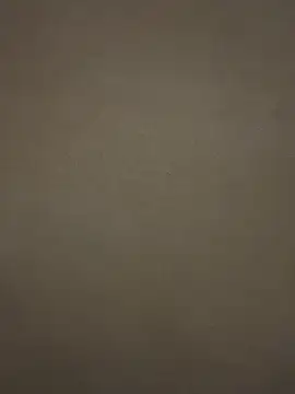 tuperrarica online show from January 13, 2025, 4:50 am