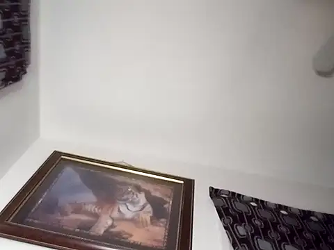 Snapshot of gemini12838 chatting on January 13, 2025, 2:39 am gemini12838 online show from January 13, 2025, 2:39 am