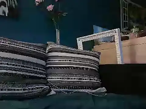 Snapshot of mecanoExhib78 chatting on February 24, 2025, 6:38 am mecanoExhib78 online show from February 24, 2025, 6:38 am