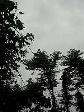 Snapshot of kumaricapalsex2 chatting on January 27, 2025, 4:20 am kumaricapalsex2 online show from January 27, 2025, 4:20 am