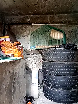 Snapshot of Elvishcassie_ chatting on October 1, 2025, 6:58 pm Elvishcassie online show from October 1, 2025, 6:58 pm