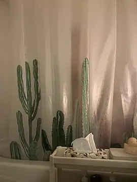 Snapshot of GymBoyVan chatting on December 17, 2024, 12:43 pm GymBoyVan online show from December 17, 2024, 12:43 pm