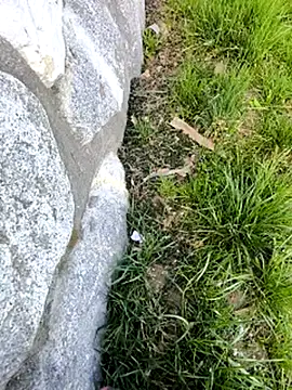 Snapshot of DrownMentallyyy chatting on March 22, 2025, 12:35 pm DrownMentallyyy online show from March 22, 2025, 12:35 pm