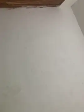 Snapshot of menorbnx chatting on November 9, 2025, 6:33 am menorbnx online show from November 9, 2025, 6:33 am