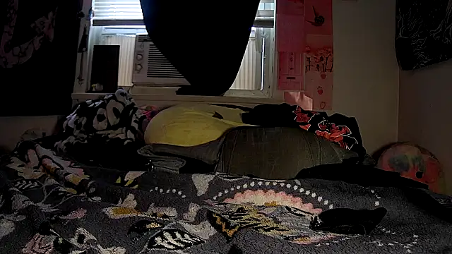 Snapshot of ATwinkie chatting on October 8, 2025, 1:20 pm ATwinkie online show from October 8, 2025, 1:20 pm