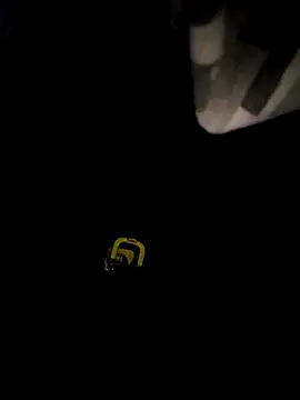 Snapshot of sanek1995sexx chatting on September 28, 2025, 2:39 am sanek1995sexx online show from September 28, 2025, 2:39 am