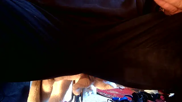 Snapshot of SilverandFox chatting on September 10, 2025, 5:46 pm SilverandFox online show from September 10, 2025, 5:46 pm