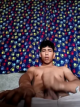 Snapshot of Andres123cv chatting on October 5, 2025, 3:54 pm Andres123cv online show from October 5, 2025, 3:54 pm