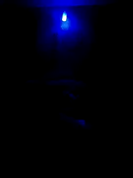 Snapshot of dreamers_dick chatting on January 1, 2025, 7:21 pm dreamers dick online show from January 1, 2025, 7:21 pm