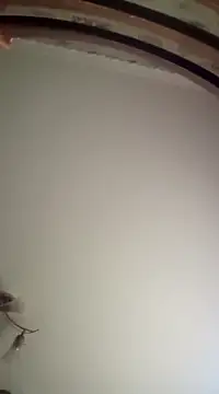 Snapshot of Lauren_Amabel chatting on March 16, 2025, 7:04 am Lauren Amabel online show from March 16, 2025, 7:04 am