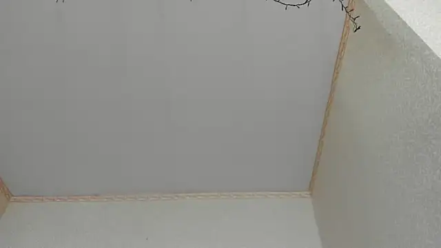 Snapshot of Browni_Kiss chatting on January 16, 2025, 7:49 am Browni Kiss online show from January 16, 2025, 7:49 am