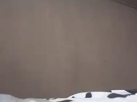 Snapshot of Chandy012 chatting on March 19, 2025, 1:18 pm Chandy012 online show from March 19, 2025, 1:18 pm