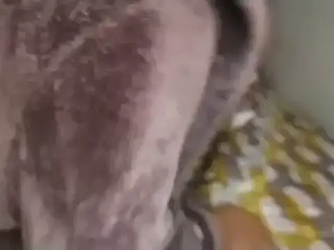 Snapshot of Chandy012 chatting on September 19, 2025, 1:12 pm Chandy012 online show from September 19, 2025, 1:12 pm