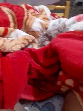 Snapshot of mhmia chatting on February 6, 2025, 1:16 am mhmia online show from February 6, 2025, 1:16 am