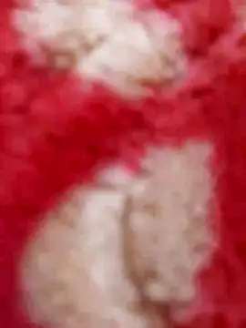 Snapshot of mhmia chatting on February 8, 2025, 5:29 pm mhmia online show from February 8, 2025, 5:29 pm