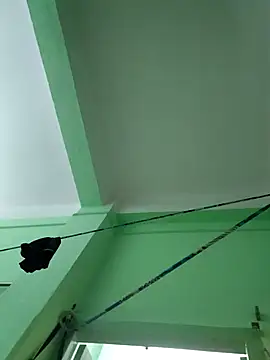 Lizza boudi online show from November 14, 2025, 3:16 am