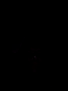 Snapshot of Nidge251 chatting on November 4, 2025, 5:28 am Nidge251 online show from November 4, 2025, 5:28 am