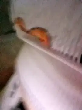 Snapshot of patrona_sexooo chatting on October 11, 2025, 12:58 pm patrona sexooo online show from October 11, 2025, 12:58 pm