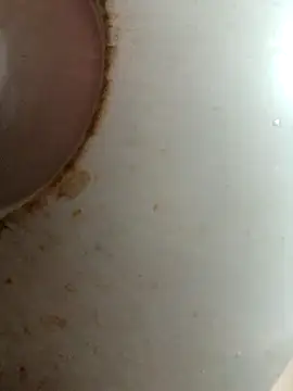 Snapshot of Dabunation chatting on October 8, 2025, 6:11 am Dabunation online show from October 8, 2025, 6:11 am