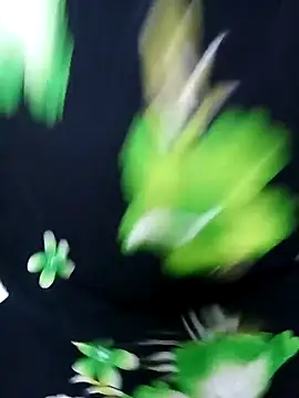 Snapshot of tamiltady chatting on September 12, 2025, 5:57 pm tamiltady online show from September 12, 2025, 5:57 pm