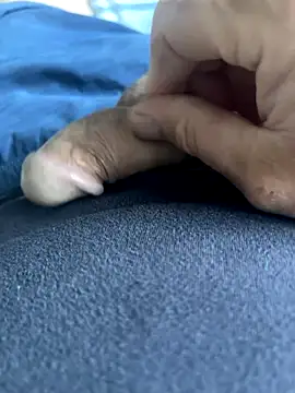 Snapshot of BobKat chatting on October 5, 2025, 7:50 am BobKat online show from October 5, 2025, 7:50 am