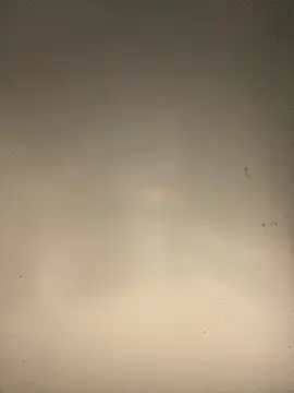 Snapshot of sasatimido chatting on October 14, 2025, 3:13 pm sasatimido online show from October 14, 2025, 3:13 pm