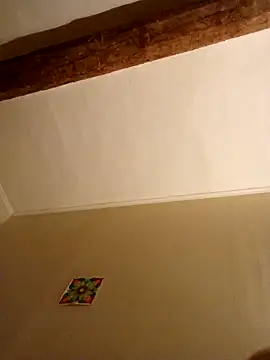 Snapshot of Titiboboo3488 chatting on November 11, 2025, 5:24 pm Titiboboo3488 online show from November 11, 2025, 5:24 pm