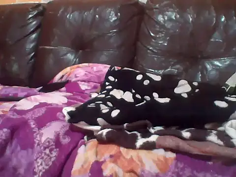 Snapshot of PREDADOR76 chatting on October 10, 2025, 4:39 pm PREDADOR76 online show from October 10, 2025, 4:39 pm