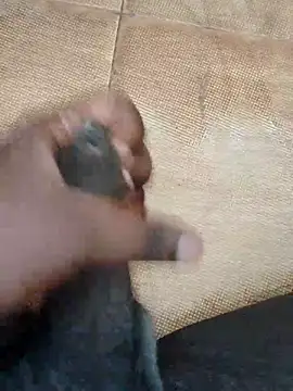 Snapshot of Saikishore00000 chatting on September 15, 2025, 8:25 am Saikishore00000 online show from September 15, 2025, 8:25 am