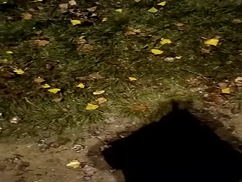 Snapshot of jvdzj-0_ chatting on October 29, 2025, 10:44 pm jvdzj-0  online show from October 29, 2025, 10:44 pm