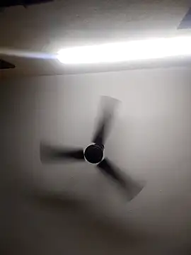 Snapshot of Devi-with-Ram chatting on October 13, 2025, 4:34 am Devi-with-Ram online show from October 13, 2025, 4:34 am