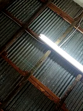 Snapshot of Fizozoo chatting on September 21, 2025, 4:58 am Fizozoo online show from September 21, 2025, 4:58 am