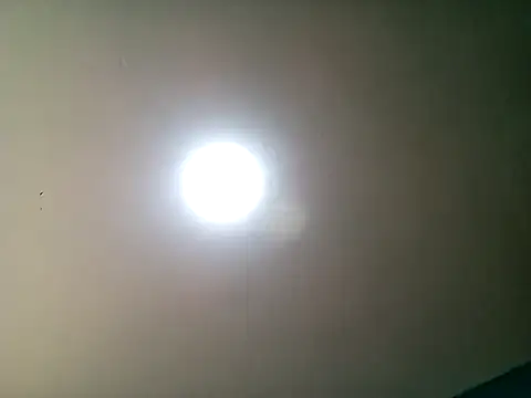 Ssexanal69 online show from September 10, 2025, 7:25 pm