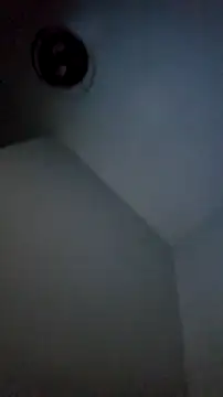 Snapshot of Bulbasaurisme chatting on October 19, 2025, 7:09 am Bulbasaurisme online show from October 19, 2025, 7:09 am