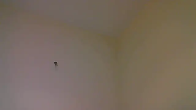 Snapshot of str8matesirishoz chatting on October 15, 2025, 4:01 am str8matesirishoz online show from October 15, 2025, 4:01 am