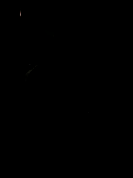 Snapshot of koukou322 chatting on November 2, 2025, 10:06 am koukou322 online show from November 2, 2025, 10:06 am