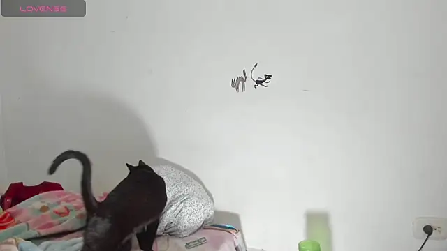 Snapshot of Raven_Rouge_ chatting on September 26, 2025, 6:17 am Raven Rouge  online show from September 26, 2025, 6:17 am