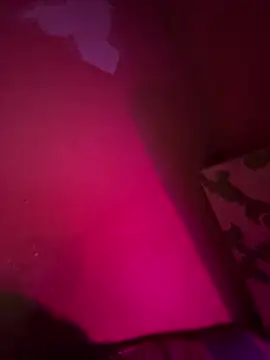 Snapshot of saumon3022 chatting on September 16, 2025, 8:54 pm saumon3022 online show from September 16, 2025, 8:54 pm