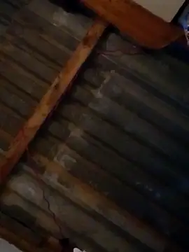 Snapshot of LUISSLEONN0958 chatting on September 25, 2025, 9:02 am LUISSLEONN0958 online show from September 25, 2025, 9:02 am