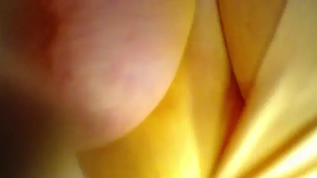 AntonellaRicher online show from September 26, 2025, 1:42 am