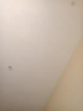 Snapshot of ElBufalo4l chatting on November 4, 2025, 1:21 pm ElBufalo4l online show from November 4, 2025, 1:21 pm