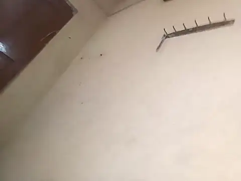 Snapshot of 96Rohon chatting on October 18, 2025, 2:58 am 96Rohon online show from October 18, 2025, 2:58 am