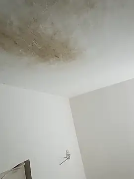 Snapshot of thunderrony chatting on October 6, 2025, 3:09 pm thunderrony online show from October 6, 2025, 3:09 pm