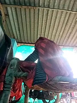 Snapshot of Hot-honi chatting on November 8, 2025, 9:42 am Hot-honi online show from November 8, 2025, 9:42 am